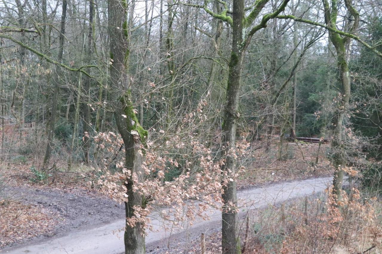 Appartamento Wijkd Leende Esterno foto